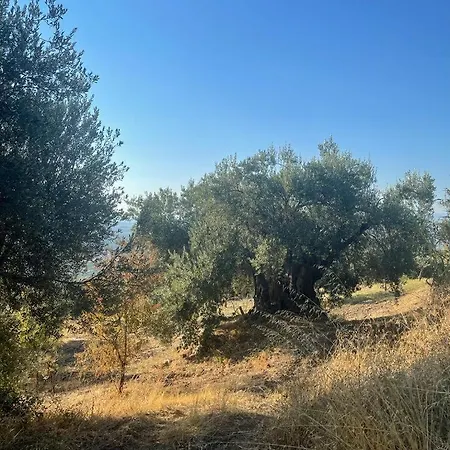 Il Casale Del Conte Lucente Cerchiara di Calabria